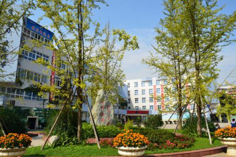 北極星通公司視頻直播系統助力成都市龍泉七中信息化平臺建設